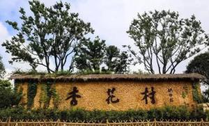 省钱攻略与最佳实践, 让门 票 值 回 票价