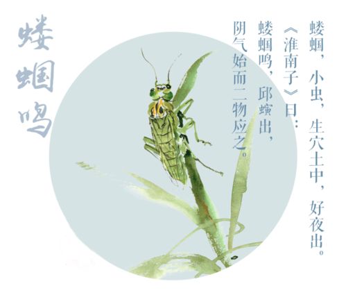 立夏祭祖与“三鲜”供奉