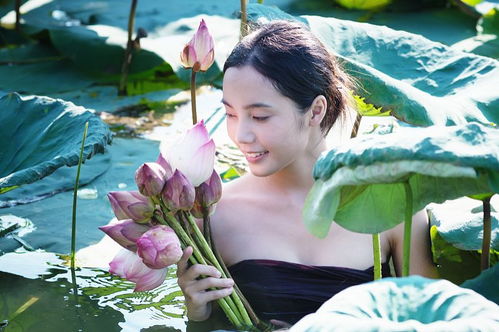 出水芙蓉指的是哪个生肖呢？