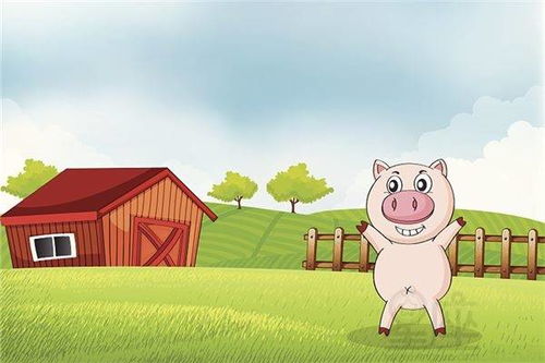 2026年属猪人1971年出生的学业运势如何？全年运势怎样？