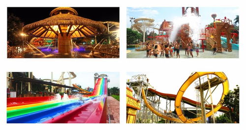 交通住宿：2026年最新受虐指南