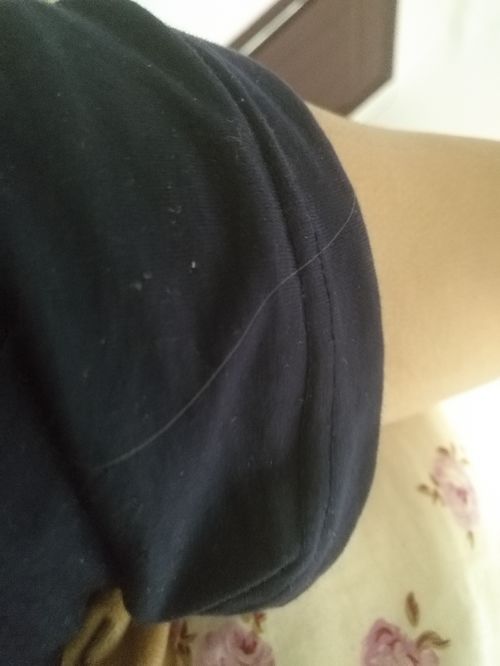 胸前白毛长尾巴，风水寓意有何特殊？