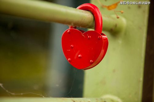 2026年属猪结婚吉日八字匹配，属猪2026年结婚吉日选择好不好？