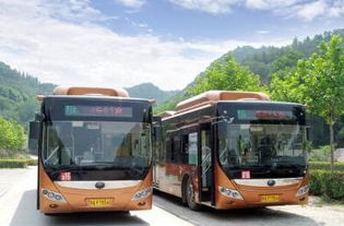 二、 公交，慢到地老天荒