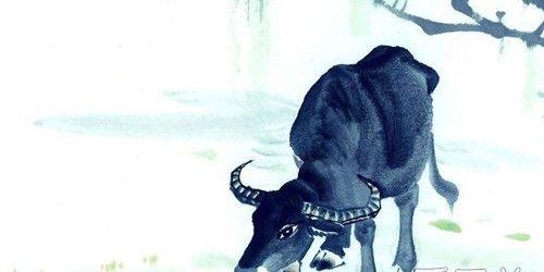 属牛人：木头人恋爱