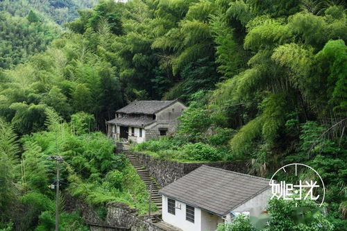 半山腰小山坡左右房子风水如何？