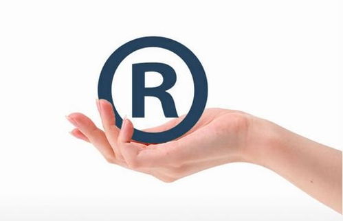 案例分享：名人效应与实用性结合