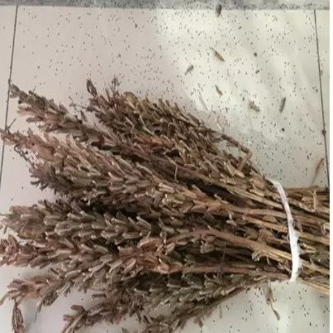 数字“一”与“八”在中华文化中的象征意义