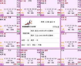 三、 财务·经济持续发展型变动星：武曲·太阴★概述