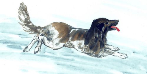 1982年属狗人2026年农历十二月运势和10月全年运势分别是什么？