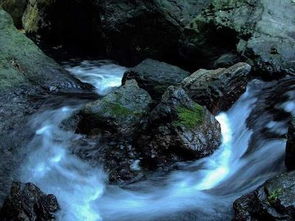 3. 夏霖九天银瀑：冰柱子展览会
