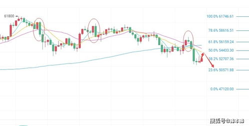 风水命理视角下之“日元极旺”解析
