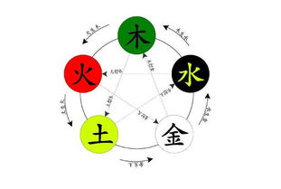 五行属性