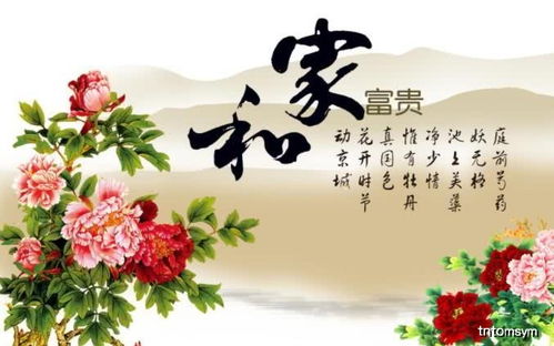 绪论：生肖文化底蕴作为生命哲学思想的时间段编码系统