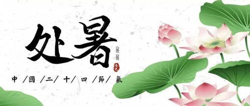 七月的暑气渐消， 盛夏的尾声来临