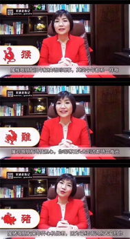 麦玲玲2018年十二生肖运势全文具体内容是什么？