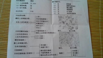 二、 医学检查清单（随意排版+噪音）