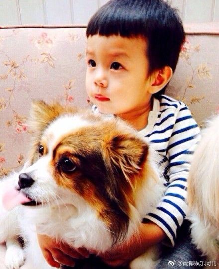 82年属狗女性在2025年或2026年有生育计划吗？