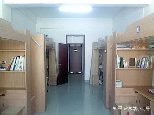 一、 前言：寝室卫生环境对学生的影响及规范设计的必要性