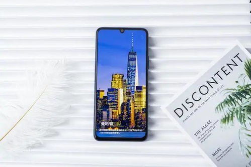 吃在广州？钱包遭殃！（丙qie可嫩拉肚子）