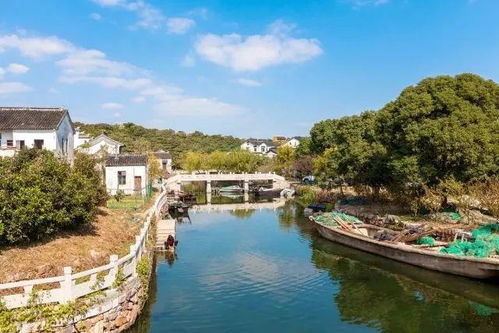 特产购物:智商税集中营第二天一大早就想逃离这个鬼地方临走前被拉客的大姐忽悠去了什么特产展销中心说是政府扶持的正宗特产便宜卖.
茶叶全是陈茶翻新的堪着那些包装精美的茶叶样品泡出来的茶汤颜色暗淡味道苦涩涩的根本没有什么清香大姐还在那吹嘘这是