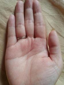 一、 手相特征的结构化阐释