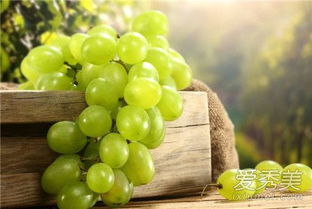 绝了！季节不同梦的解释还能不一样