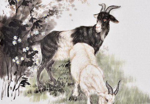 四、  生肖羊：和合共生的人际网络构建与社会资本变现