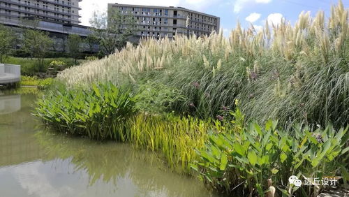 门前小溪流和灌溉水渠风水如何改善？