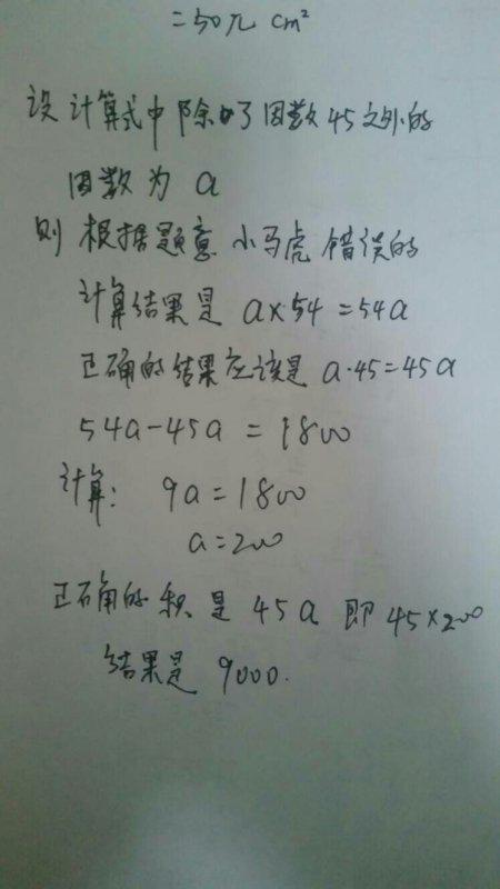 竖类