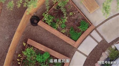 6.1 较大树根系稳固功能