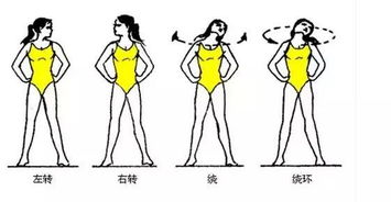 6. 脖子粗细适中且长度偏长——稳健思维的外显标记