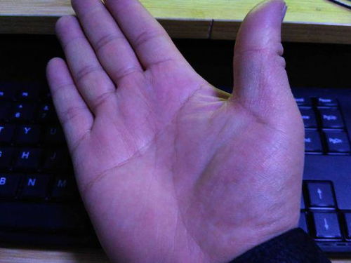 家庭伦理与情感命运的交互影响