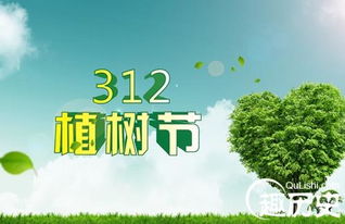3.1 法律制度法规层面：立法背景解析