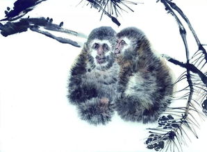 2026年属猴的人会有哪位贵人相助？贵人运如何？