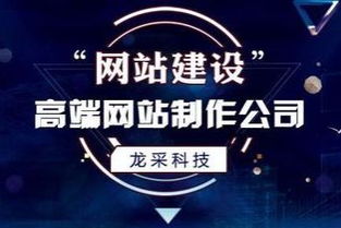 寻求专业指导