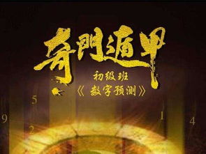 用神的选择与出行目的的关系