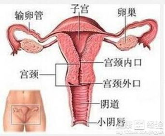 子宫内膜炎与盆腔炎：诊断之路， 迷雾沉重沉重