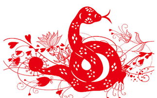 二、 “31岁属蛇者今年犯太岁的具体表现