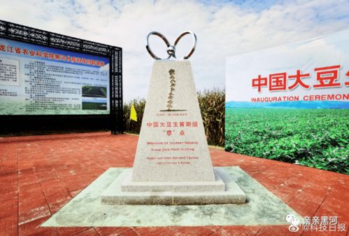 一、  时空背景：2025年乙巳年仲夏时节的宇宙气场分析