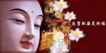 个人背景及情感动因