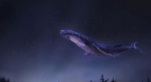 北海巨影：鯤的体型之谜及其生态位推测