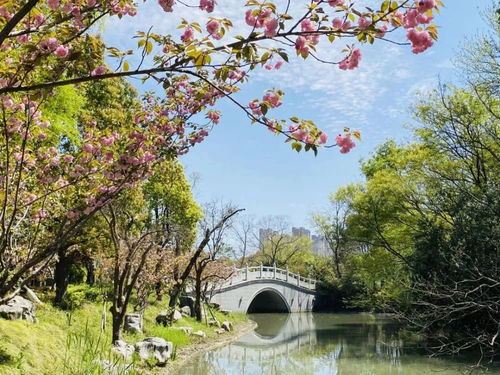 血泪警告！这些坑千万别踩！