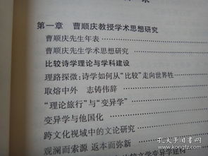 王辅嗣定婚歌之文本渊源与学术概述