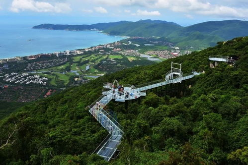 交通指南：嫩到就行！（真的吗？！）