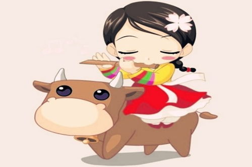 常见转运物品及其寓意