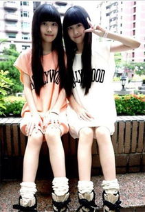 二二姐妹花和姐妹花分别属于哪个生肖？