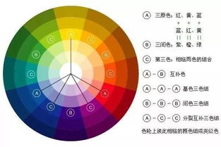唯命是从这个结构表达的是怎样的情感色彩？
