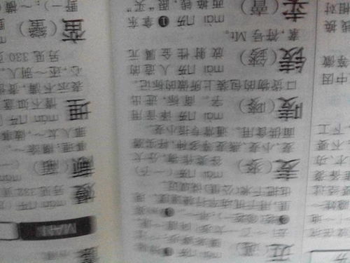 三、 名字的启迪