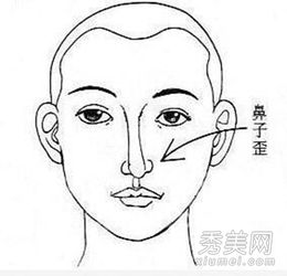 四、鼻梁高挺：果敢决断之体现